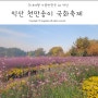 익산 천만송이국화축제 핑크뮬리와 야경산책