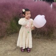 부산 강서구 대저생태공원 아이랑함께 핑크뮬리 보러 갔어요.