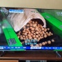 제219회 나는 농부다! 한국농업방송 방영