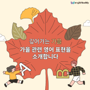 깊어가는 가을! 가을 관련 영어 표현을 소개합니다! 🍂
