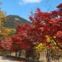 서울대 관악수목원 시범개방 방문 주차 가능한 곳도