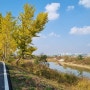 성환천 억새길 자전거 도로(성성 호수 공원)
