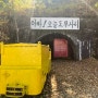 [10월 정선여행] 정선 인투라온, 삼탄 아트마인, 정선아리랑시장