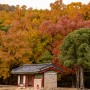 서울 단풍구경 가볼만한 곳, 태릉 가을 풍경