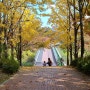 판교 화랑공원, 환경 생태학습원에서 가을 놀이
