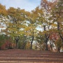 가을 근린공원