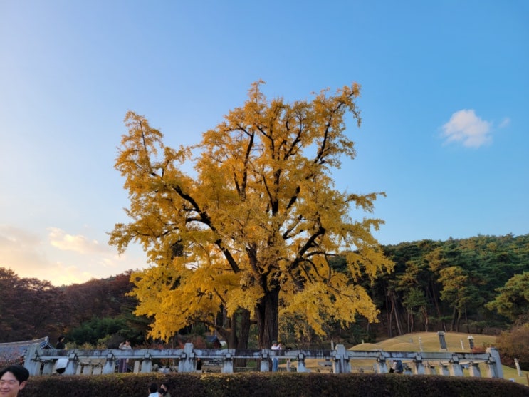 아산 현충사 : 네이버 블로그