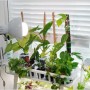식집사 필수 플레오맥스 하이브리드 식물 LED 성장등
