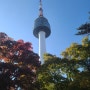 서울시내가 한눈에! 서울 남산에 걸어서 올라가봤어요. 서울남산타워 짱 멋짐.
