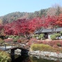 [제천 여행] 가을 제천 단풍 보기 좋은 배론성지 - 서울근교 단풍놀이