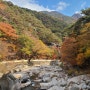 10.29_가야산 소리길 가을 단풍 트레킹: 홍류문~성보박물관 구간
