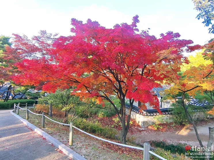 서울 남산한옥마을 단풍구경 : 네이버 블로그