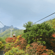[전북 완주군] 가을단풍명소 대둔산도립공원 케이블카 등산코스!(구름다리, 삼선계단, 마천대)