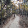 ♧ 가을에 걷기좋은 수리산(무성봉) ♧