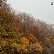 울산 간월재 ‘영남알프스 억새 군락지 신불산’