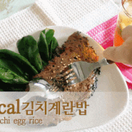 다이어트 김치밥 만들기 | 백종원 김치밥 레시피 | 저칼로리 김치계란밥 칼로리 | 김치계란 레시피