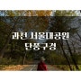 서울대공원 단풍구경가기 (스카이리프트 타는 곳, 할인)
