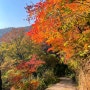 [수종사] 경기도 남양주 가볼만한곳 운길산 등산, 수종사 가을풍경