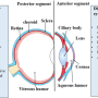 Ophthalmologic effects of systemic glucocorticoids