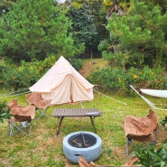 [프루떼 제주 팜크닉/서귀포 귤] 귤도 따고, 캠핑도 즐기고! 캠핑+소풍=캠프닉! 우리끼리 프라이빗한 야외 소풍을 즐겨요~