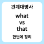 관계대명사 what / that 차이점 정리