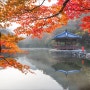 [전북]내장산국립공원,우화정,내장산단풍,내장사,가을여행지추천,가을단풍