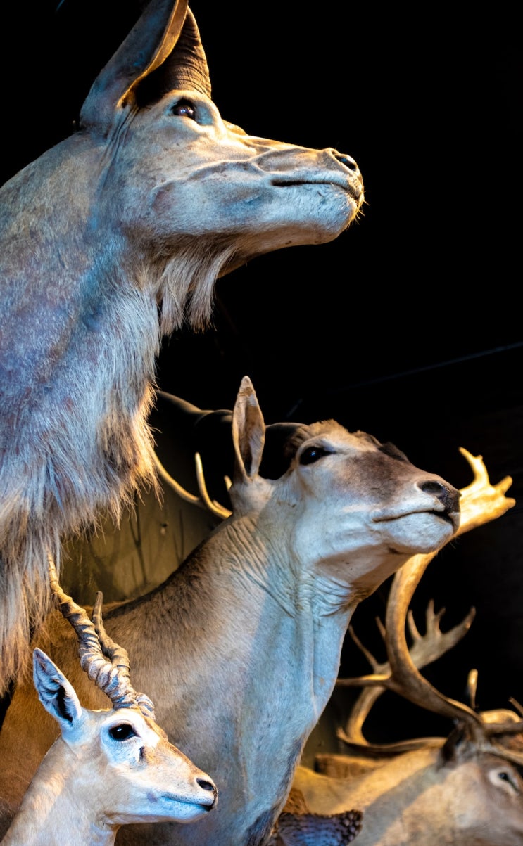 Is It Still Deer Season In Pennsylvania