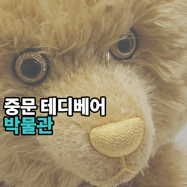 제주 테디 베어 뮤지엄 새 단장 이후 첫 방문 : 네이버 블로그 제주 테디 베어 뮤지엄 새 단장 이후 첫 방문 : 네이버 블로그