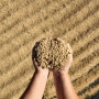 2022년 자연건조 유기농 인증쌀 판매(완판)