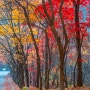소니 A7M4 풀프레임 미러리스 카메라로 담아본 가을풍경