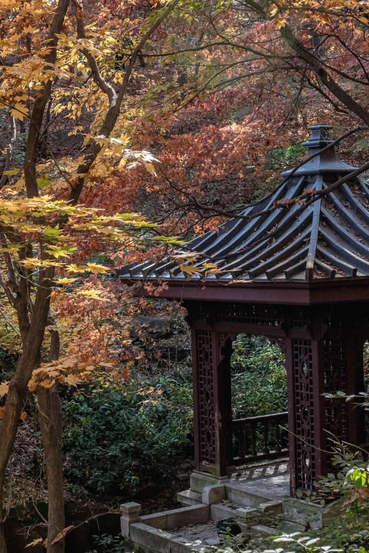 서울 단풍 명소 석파정 서울미술관 관람 할인 정보 : 네이버 블로그