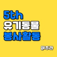 5th 유기동물 보호소 봉사활동 후기