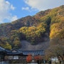 2022.10.30. 영동 반야사. 호랑이 기운과 문수전의 영험, 세조께서 씻고 병이 나았다는 영천, 아름답고 신비한 사찰