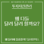 전 세계 기축통화 달러, 전 세계에서 위치는 어떨까요?