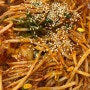 수원파장동정자동맛집)아구찜이 맛있는 한결 통아구찜 수원정자점