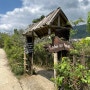 [2022 베트남 사파여행] 끝내주는 경치의 사파 타반마을 숙소 Comlam Eco House