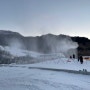 2022년 전국 스키장 개장일 날짜 정리