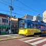일본 오사카 오마카세& 마지막 남은 노면 전차 체험