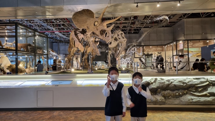10m5w :: 대전 국립중앙과학관 공룡동산 꿈아띠체험관 자연사관