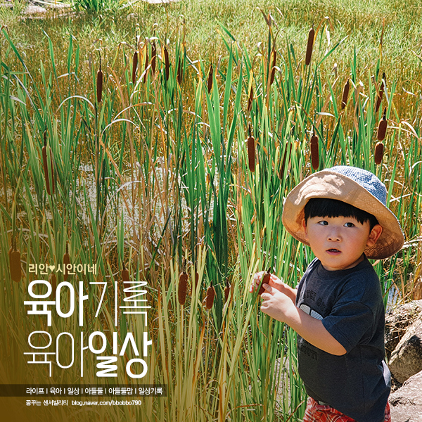 2021년 여름 바깥나들이 김천 유아숲체험원/직지문화공원...