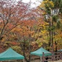 일요일 당일치기 가을 서울대공원 캠핑장 캠핑(feat. 현대미술관, 캠핑 음식)