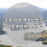 충북 제천 가볼만한곳 청풍호반케이블카