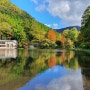 10월 넷째주 1 : 일본 벳부 유후인 여행