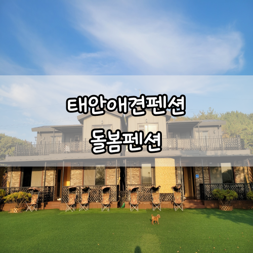 개는 인조 잔디를 씹나요