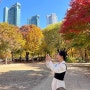 [한주정리] 안녕 가을 벌써 잘가구 2022년도 벌써 안녕+가을의 서울숲 나들이