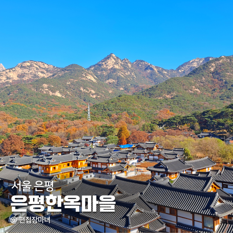 은평한옥마을 마실길 은행나무 숲 가을 단풍 끝물 (ft.주차팁) : 네이버 블로그