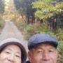장성 축령산 편백나무숲길 탐방