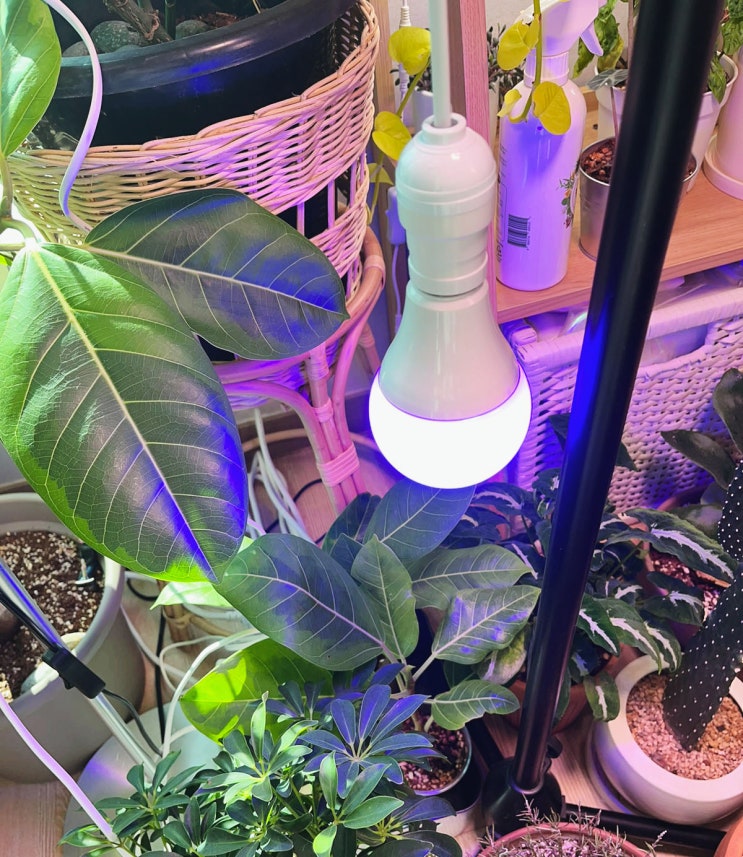 LED 식물 조명 플레오맥스 하이브리드 식물 성장등 후기 : 네이버 블로그