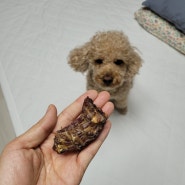 강아지 대용량 간식 마이베프 오리목뼈