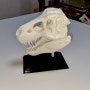 FDM 출력 파일 추천 ! 공룡 뼈 출력 3D프린팅